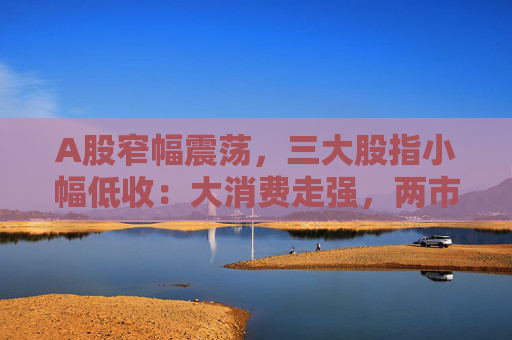 A股窄幅震荡，三大股指小幅低收：大消费走强，两市成交超1万亿元