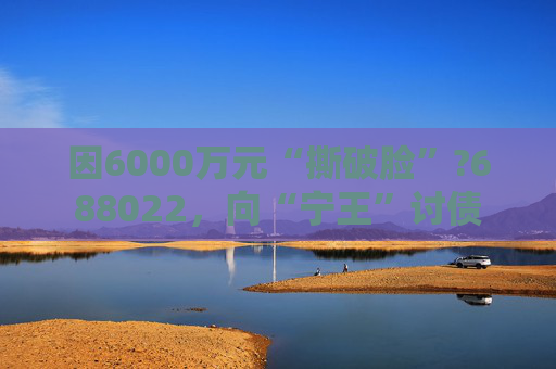 因6000万元“撕破脸”?688022，向“宁王”讨债