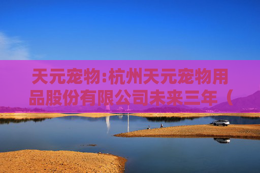 天元宠物:杭州天元宠物用品股份有限公司未来三年（2025年-2027年）股东分红回报规划