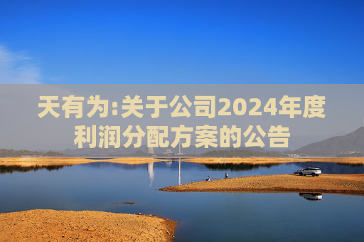 天有为:关于公司2024年度利润分配方案的公告
