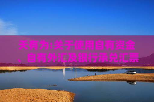 天有为:关于使用自有资金、自有外汇及银行承兑汇票等方式支付募投项目部分款项并以募集资金等额置换的公告
