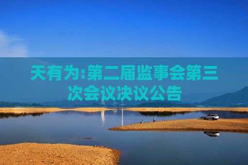 天有为:第二届监事会第三次会议决议公告
