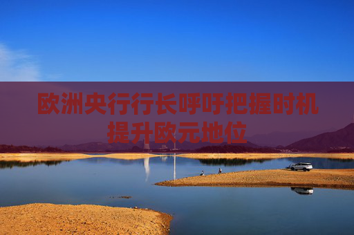 欧洲央行行长呼吁把握时机提升欧元地位  第1张