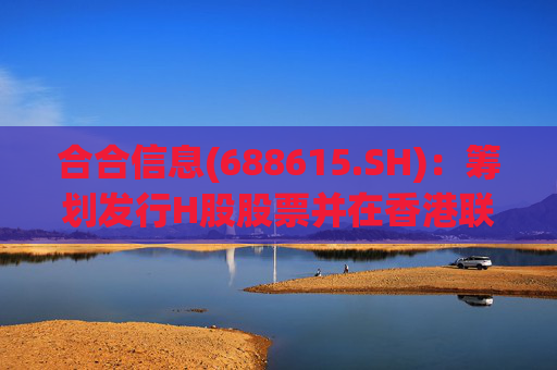 合合信息(688615.SH)：筹划发行H股股票并在香港联交所上市