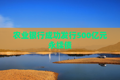 农业银行成功发行500亿元永续债