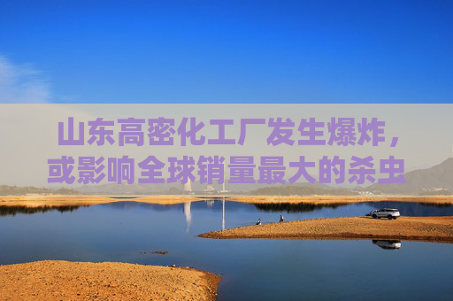 山东高密化工厂发生爆炸，或影响全球销量最大的杀虫剂供应