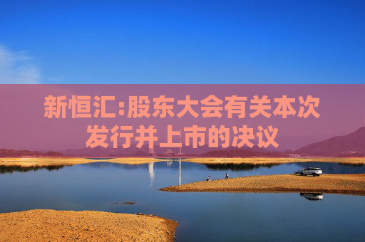 新恒汇:股东大会有关本次发行并上市的决议