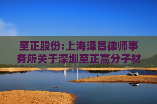至正股份:上海泽昌律师事务所关于深圳至正高分子材料股份有限公司本次重大资产重组前发生业绩异常或存在拟置出资产情形的专项核查意见