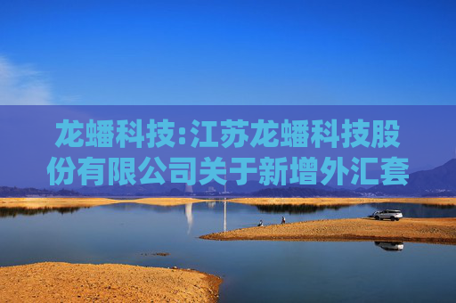 龙蟠科技:江苏龙蟠科技股份有限公司关于新增外汇套期保值业务的公告