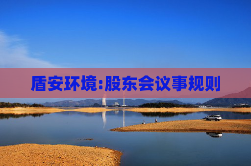 盾安环境:股东会议事规则