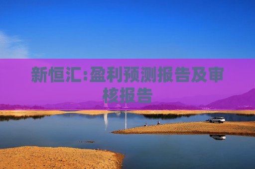 新恒汇:盈利预测报告及审核报告