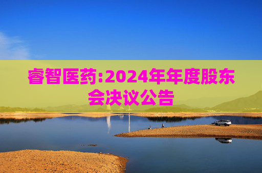 睿智医药:2024年年度股东会决议公告
