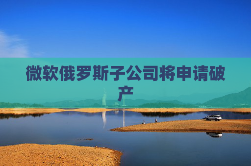 微软俄罗斯子公司将申请破产