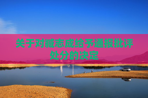 关于对臧志成给予通报批评处分的决定