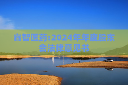 睿智医药:2024年年度股东会法律意见书