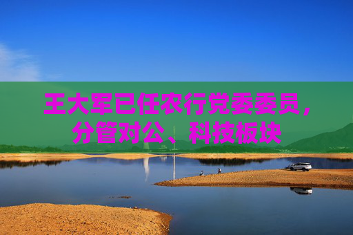 王大军已任农行党委委员，分管对公、科技板块