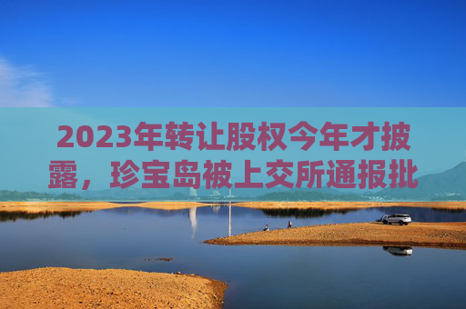 2023年转让股权今年才披露，珍宝岛被上交所通报批评  公司刚称“对信披违规责任人降薪罚款”
