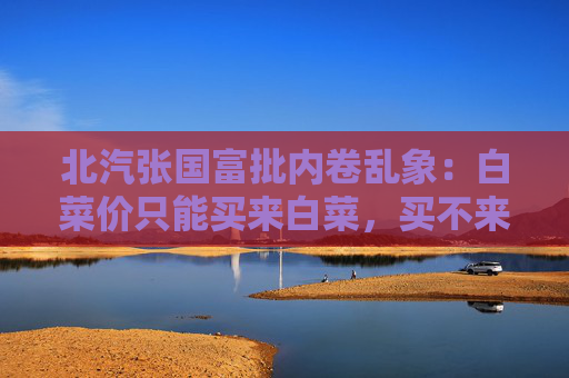 北汽张国富批内卷乱象：白菜价只能买来白菜，买不来金丝楠木