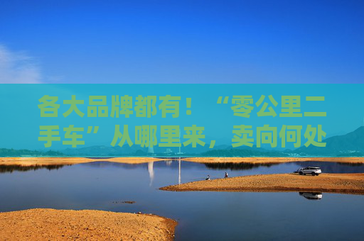 各大品牌都有！“零公里二手车”从哪里来，卖向何处，影响有多大？