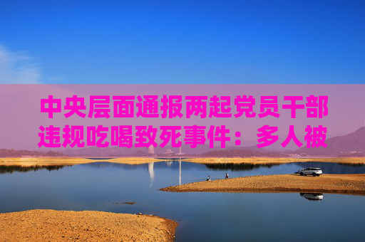 中央层面通报两起党员干部违规吃喝致死事件：多人被处理处分