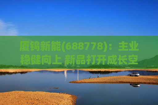厦钨新能(688778)：主业稳健向上 新品打开成长空间