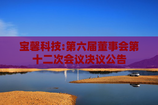 宝馨科技:第六届董事会第十二次会议决议公告