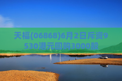 天福(06868)6月2日斥资9530港元回购3000股