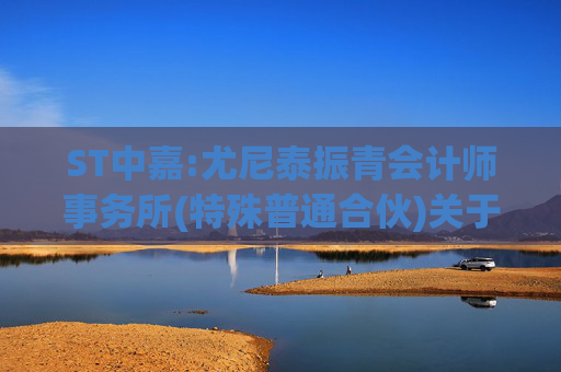 ST中嘉:尤尼泰振青会计师事务所(特殊普通合伙)关于对中嘉博创信息技术股份有限公司2024年年报的问询函的回复