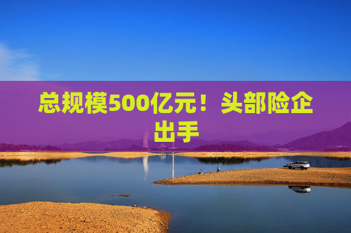 总规模500亿元！头部险企出手