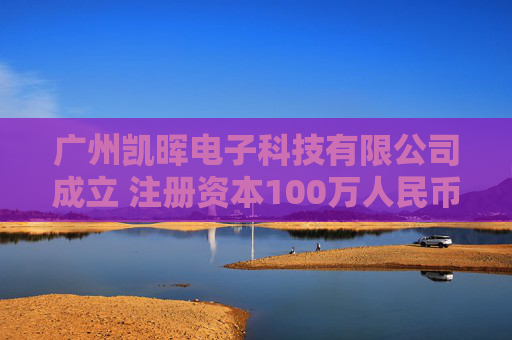 广州凯晖电子科技有限公司成立 注册资本100万人民币