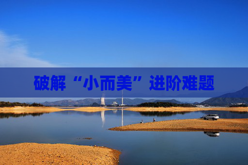 破解“小而美”进阶难题