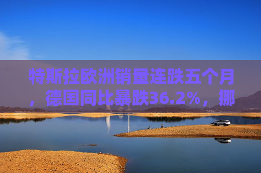 特斯拉欧洲销量连跌五个月，德国同比暴跌36.2%，挪威市场成亮点