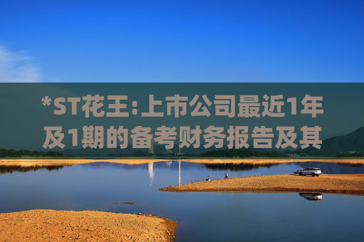 *ST花王:上市公司最近1年及1期的备考财务报告及其审阅报告（立信中联专审字[2025]D-0310号）