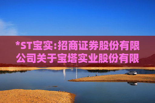 *ST宝实:招商证券股份有限公司关于宝塔实业股份有限公司本次交易信息公布前股票价格波动情况的核查意见