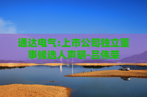 通达电气:上市公司独立董事候选人声明-吕伟荣