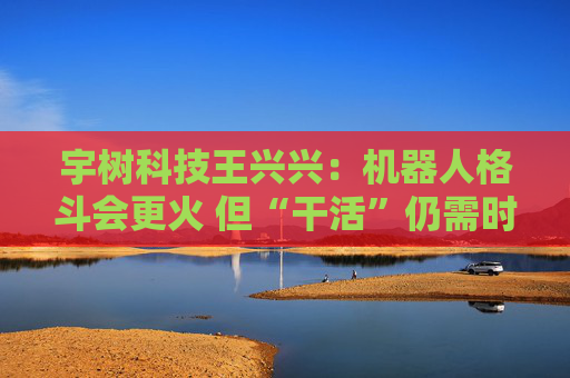 宇树科技王兴兴：机器人格斗会更火 但“干活”仍需时间