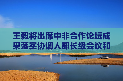 王毅将出席中非合作论坛成果落实协调人部长级会议和第四届中国—非洲经贸博览会