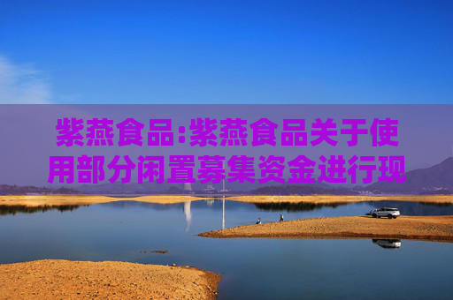紫燕食品:紫燕食品关于使用部分闲置募集资金进行现金管理的进展公告