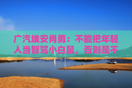 广汽埃安肖勇：不能把年轻人当智驾小白鼠，否则是不讲良心