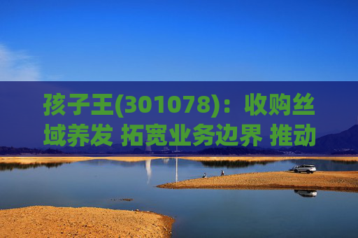 孩子王(301078)：收购丝域养发 拓宽业务边界 推动产业协同发展
