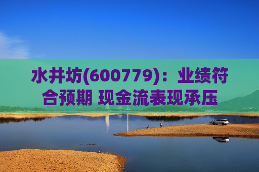 水井坊(600779)：业绩符合预期 现金流表现承压