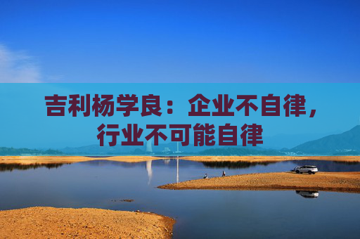 吉利杨学良：企业不自律，行业不可能自律