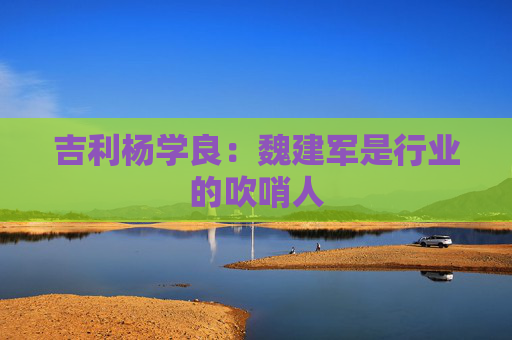 吉利杨学良：魏建军是行业的吹哨人