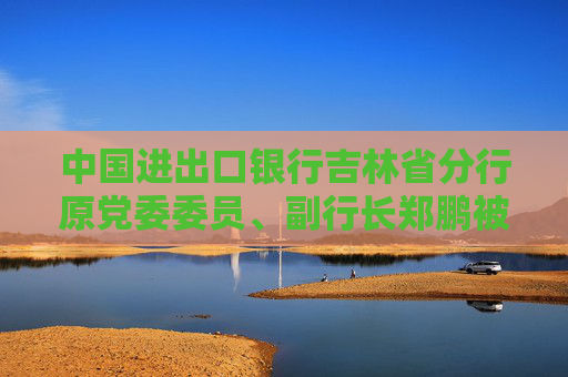 中国进出口银行吉林省分行原党委委员、副行长郑鹏被开除党籍