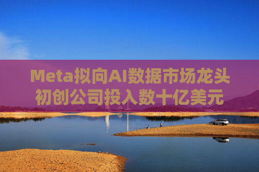 Meta拟向AI数据市场龙头初创公司投入数十亿美元