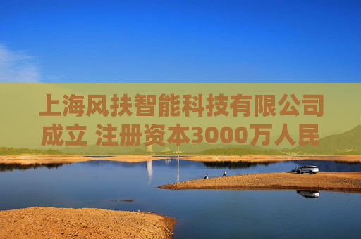 上海风扶智能科技有限公司成立 注册资本3000万人民币