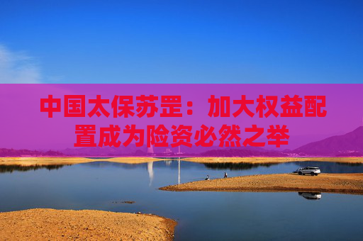 中国太保苏罡：加大权益配置成为险资必然之举