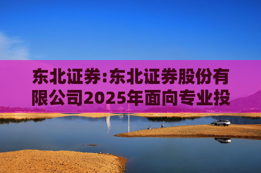 东北证券:东北证券股份有限公司2025年面向专业投资者公开发行科技创新次级债券（第一期）票面利率公告