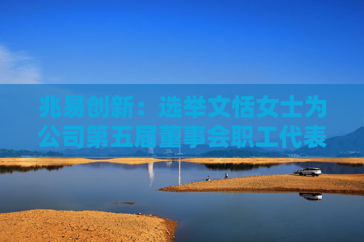 兆易创新：选举文恬女士为公司第五届董事会职工代表董事  第1张