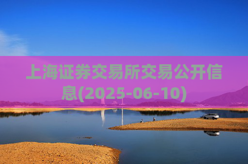 上海证券交易所交易公开信息(2025-06-10)
